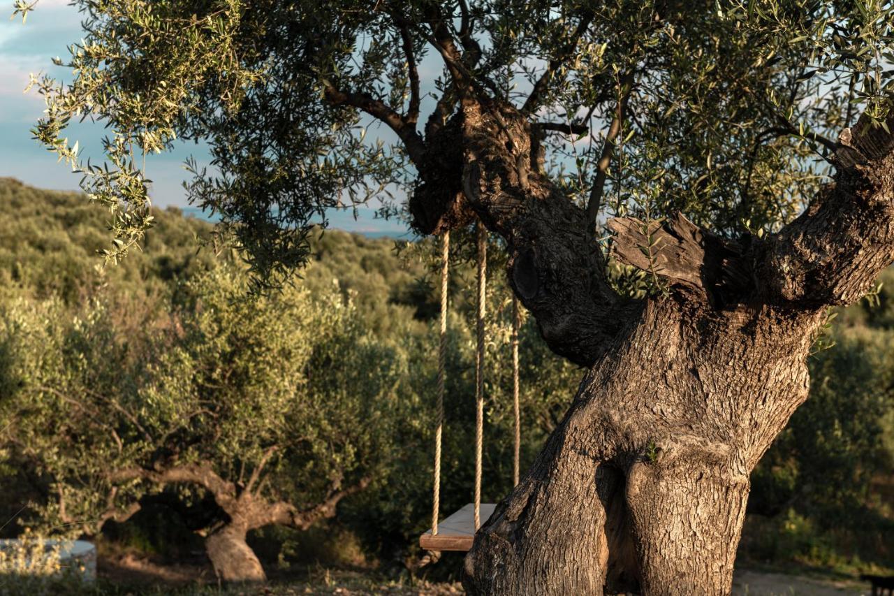 الشقق الفندقية غيتيوفي  The Olive Yard المظهر الخارجي الصورة